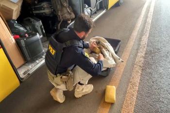 PRF apreende cerca de 20 kg de skunk em ônibus na BR-364 em Vilhena