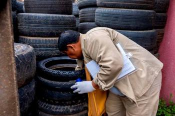 Período chuvoso exige alerta, mas Porto Velho registra queda expressiva nos casos de dengue