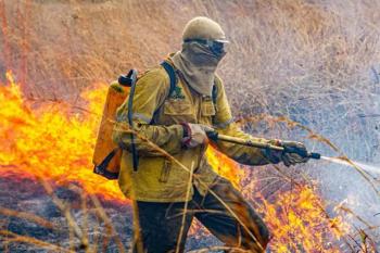 Governo divulga planejamento para enfrentar incêndios em 2026