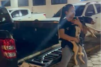 Homem é preso por crime de maus-tratos contra cachorra em Vilhena