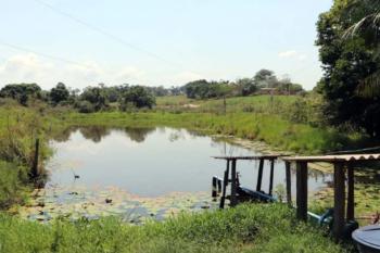 Regeneração natural recupera áreas protegidas e valoriza a cafeicultura em Cacoal