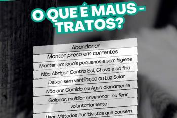 Prefeitura reforça combate aos maus-tratos e pede apoio da população