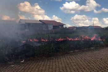 Período de estiagem aumenta risco de incêndios; Prefeitura reforça canais para denúncias de queimadas urbanas