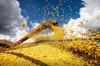 Produção de grãos pode chegar a 353,4 milhões de toneladas