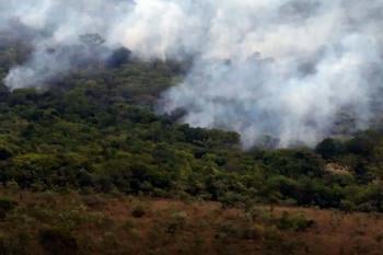 Copernicus: emissão global de gases por incêndios é a menor em 24 anos
