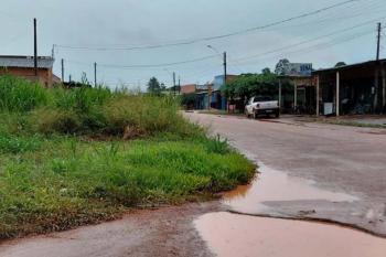Capim alto em terrenos  bladios compromete visibilidade e causa perigo no trânsito