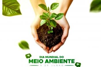 Prefeitura de Espigão do Oeste está empenhada na recuperação das nascentes do Rio Palmeiras