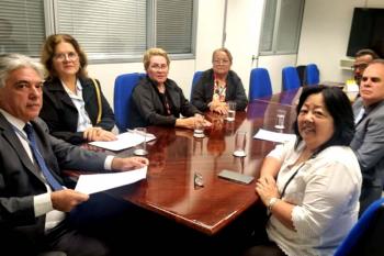 Representantes do SINDSEF-RO realizam jornada de trabalho em Brasília em defesa de emendas ao PL 5874/25