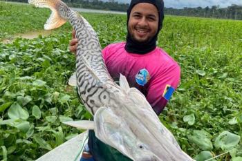 Prefeitura de Porto Velho envia projeto de lei que pode tornar a cidade “Capital Nacional da Pesca Esportiva”