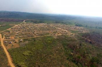 Ação do MPF busca restabelecer limites originais da Floresta Nacional Bom Futuro em Rondônia