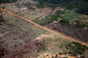 Investigação da Folha de S. Paulo associa recorde de desmate em Rondônia ao fluxo de máquinas pagas com emendas parlamentares