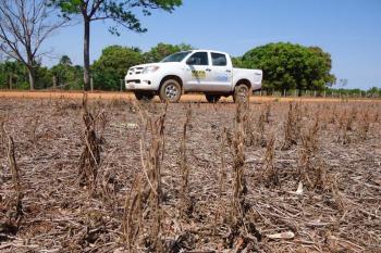 Início do vazio sanitário da soja começa nesta quarta-feira, 10, em Rondônia; Idaron mantém fiscalização intensificada nas propriedades rurais