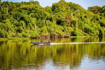 Depois da COP17, Brasil é cobrado a efetivar metas de restauração