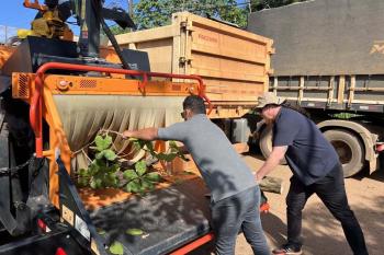 Ação integrada reaproveita 100% da poda de árvores e gera economia ao município