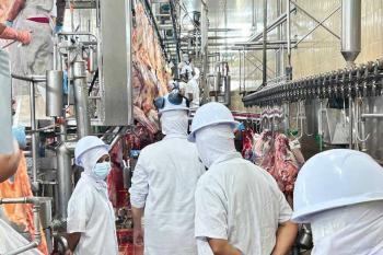 Inspeção Municipal da Semagric garante carne segura e fortalece a economia em Porto Velho