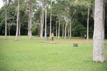 Porto Velho cria novas regras para cuidar das árvores e fauna da cidade