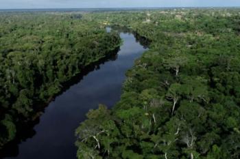 Governo de Rondônia intensifica ações ambientais e registra queda 34,9% no desmatamento