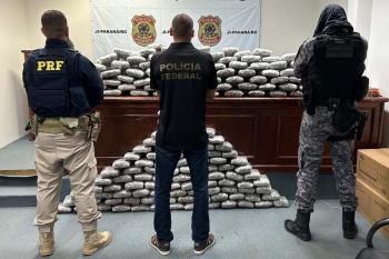 Forças de segurança apreendem cerca de 170 quilos de maconha em operação