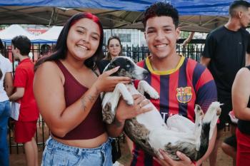 Feira de adoção responsável garante novos lares para cerca de 40 animais