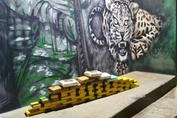 Operação conjuta apreende 50 kg de drogas na zona rural de Nova Mamoré