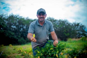 Aplicativo PVH+ disponibiliza Cadastro Municipal do Produtor Rural e amplia acesso aos serviços 