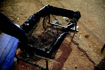 Ecobueiros passam por testes de resistência; Modelo comprovou eficiência mesmo sob grande volume de resíduos