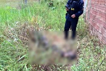 Corpo carbonizado e com mãos amarradas é encontrado em matagal