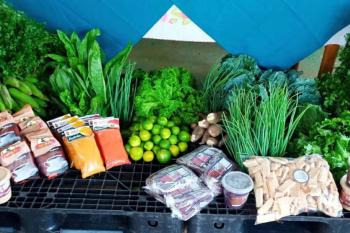 Prefeitura realiza entrega de alimentos para mais de 100 famílias cadastradas no programa de Aquisição de Alimentos 