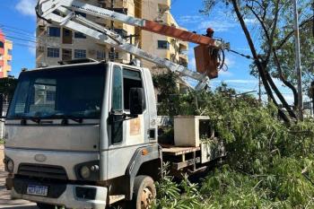 Sema realiza ação conjunta de poda e manutenção na Avenida Rio Madeira