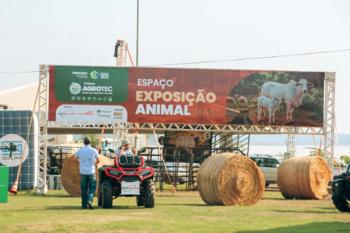 Porto Velho ultrapassa 1,6 milhão de bovinos e reforça força da pecuária, segundo dados da Agência de Defesa Sanitária