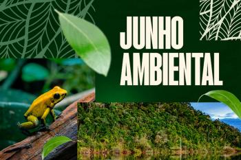 MPF obtém decisão que obriga estado de Rondônia a proteger antigo território da Floresta Nacional do Bom Futuro
