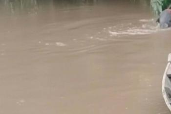 Corpo é encontrado preso a galhos com perfuração e sinais de violência