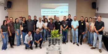 Diagnóstico avalia potencial de IG da banana do Vale do Jamari
