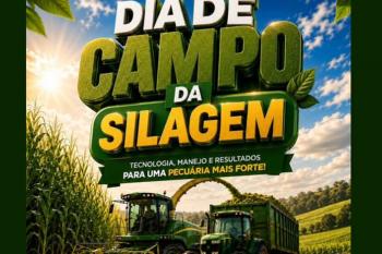 Prefeitura de Ariquemes realiza no próximo dia 2 de junho Dia de Campo da Silagem