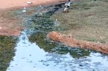 Vazamento em rede de saneamento no final da avenida Campo Sales gera reclamações