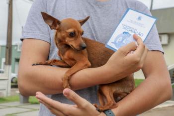Não levou o pet ao Dia D? Vacinação contra a raiva continua disponível