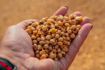 Governo de Rondônia comemora o Dia Mundial da Agricultura e destaca a força do campo no desenvolvimento do estado