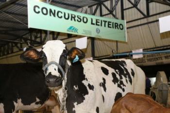 Concurso evidencia avanços da pecuária leiteira impulsionados pela assistência técnica em todo o estado