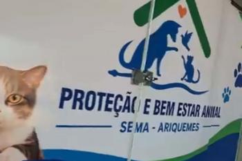 Feira de adoção anima acontece todo o primeiro sábado de cada mês no Centro de Bem-Estar Animal 