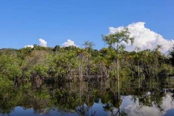 Governo levantou R$ 179 bi desde 2023 para transição ecológica
