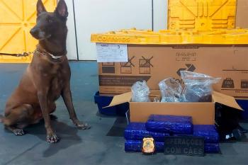 Polícia Milita aprende 5 kg de maconha em depósito dos Correios em Ji-Paraná