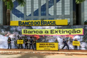 Ação do MPF contra Banco do Brasil reforça denúncia do Greenpeace sobre concessão de crédito rural em Terra Indígena