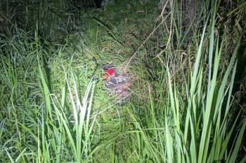 Dupla é presa após acompanhamento tático por direção perigosa