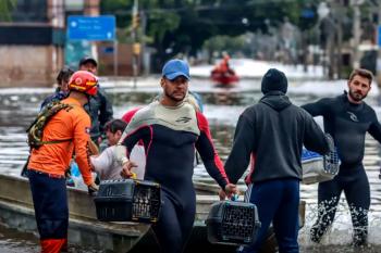 Lei cria Política de Acolhimento para animais resgatados em desastres