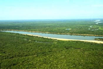 Governo de Rondônia participa do lançamento do Guia de Melhores Práticas para Projetos de Carbono na Amazônia