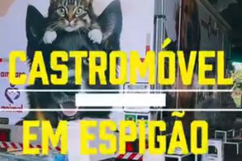 Espigão do Oeste: Mais de 100 animais atendidos em grande ação de cuidado e reponsabilidade