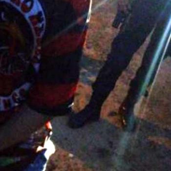 Policiais encontram 13 pés de maconha ao cumprir mandado de prisão