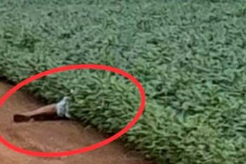 Caseiro é morto a tiros quando voltava para o sítio próximo à área urbana