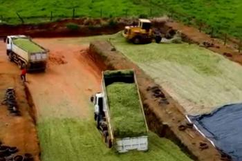 Prefeitura investe no fortalecimento da agricultura familiar por meio do Programa Propriedade Produtiva