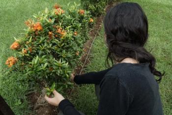 Capacitação sobre manejo de acidentes com animais peçonhentos será realizada pela Agevisa no dia 22 de abril